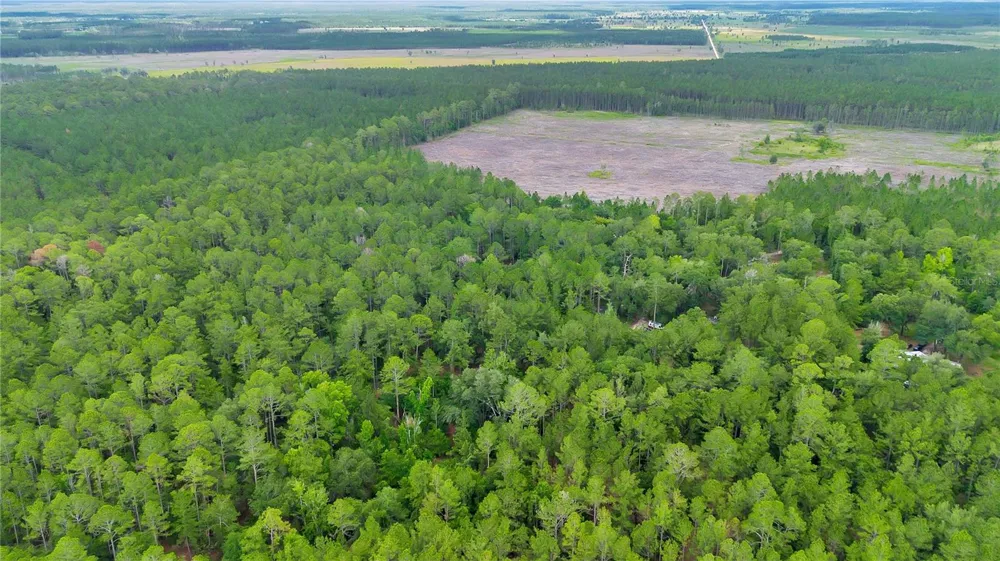 7831 NE 132ND PLACE Citra, FL 32113