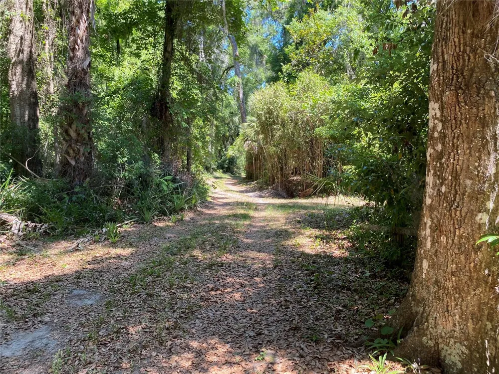 2424 NE 170TH STREET Citra, FL 32113