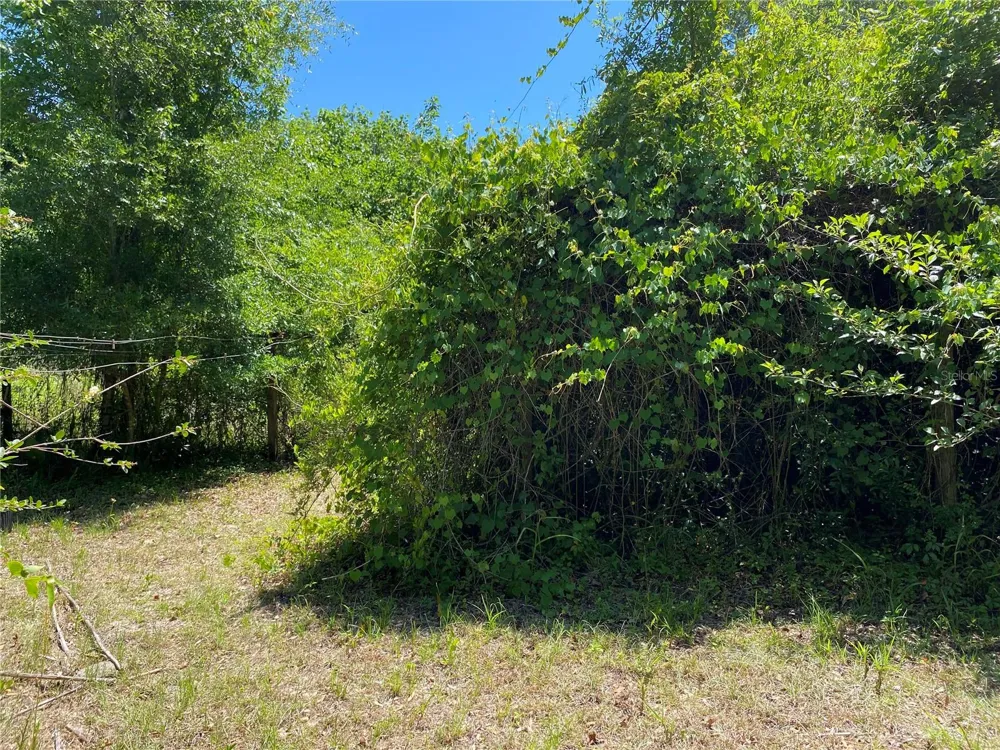 2424 NE 170TH STREET Citra, FL 32113