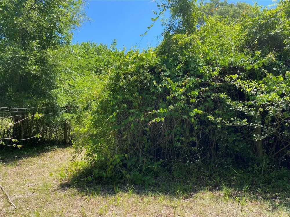 2424 NE 170TH STREET Citra, FL 32113