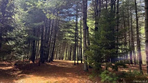 Lot 12 White Road