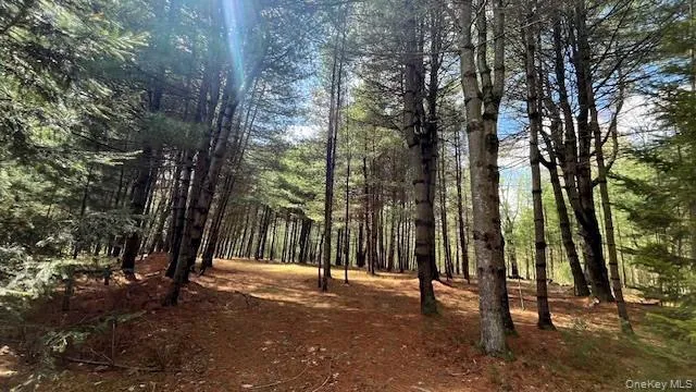 Lot 12 White Road Glen Spey, NY 12737