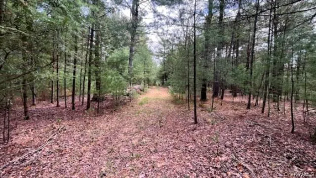 Lot 12 White Road Glen Spey, NY 12737