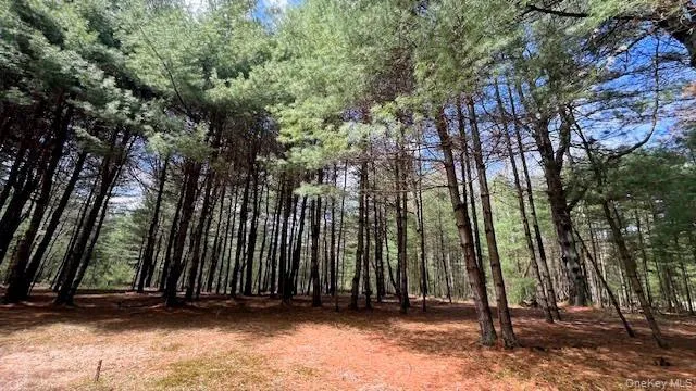 Lot 12 White Road Glen Spey, NY 12737