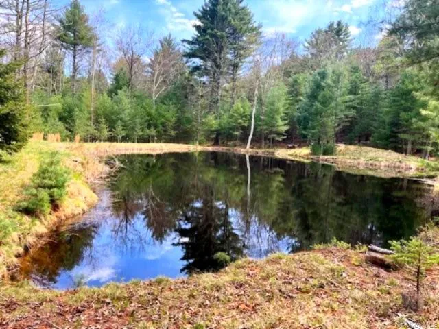 Lot 12 White Road Glen Spey, NY 12737