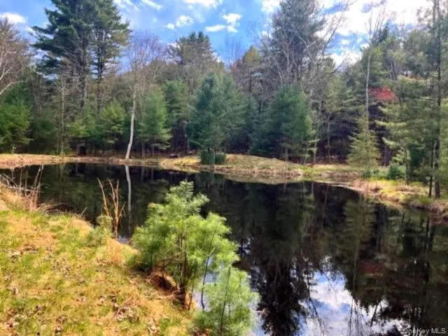 Lot 12 White Road Glen Spey, NY 12737