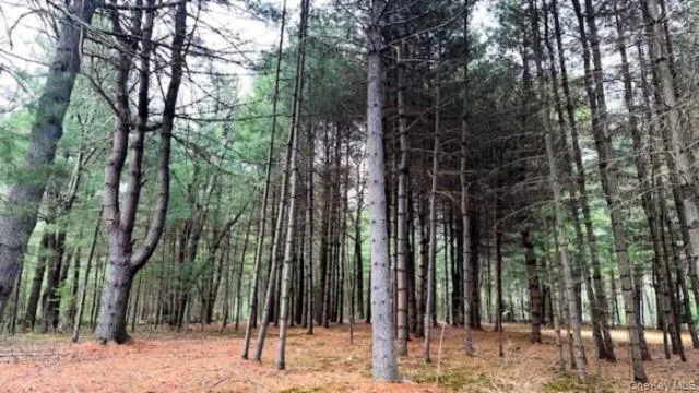 Lot 12 White Road Glen Spey, NY 12737