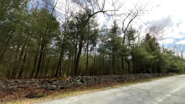 Lot 12 White Road Glen Spey, NY 12737