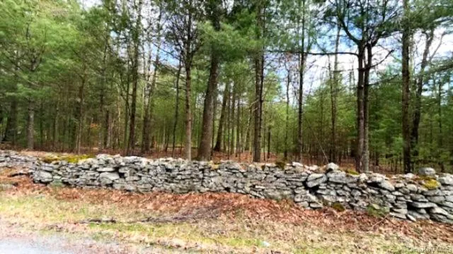 Lot 12 White Road Glen Spey, NY 12737
