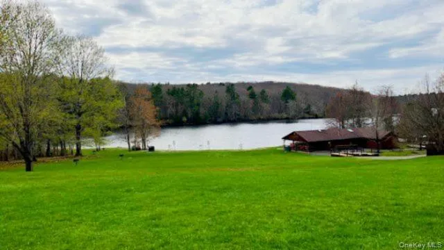 Lot 12 White Road Glen Spey, NY 12737