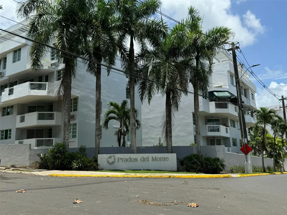 29 CALLE BASILIO CATALA #210 Guaynabo, PR 00971