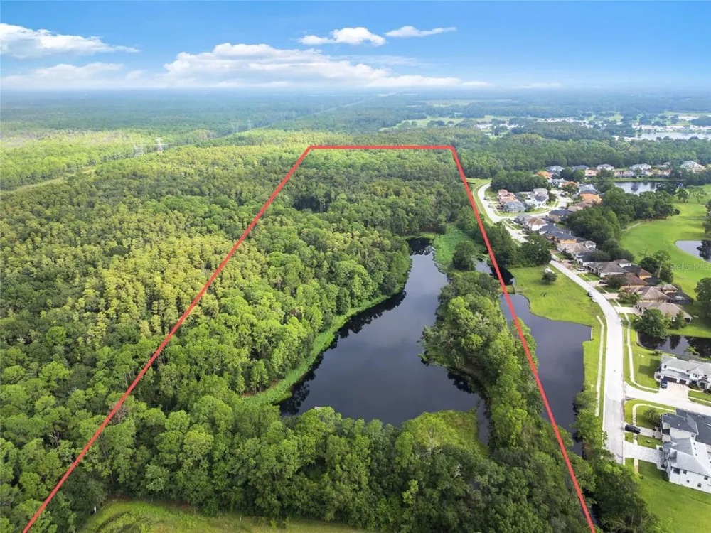 UNPLATTED Odessa, FL 33556