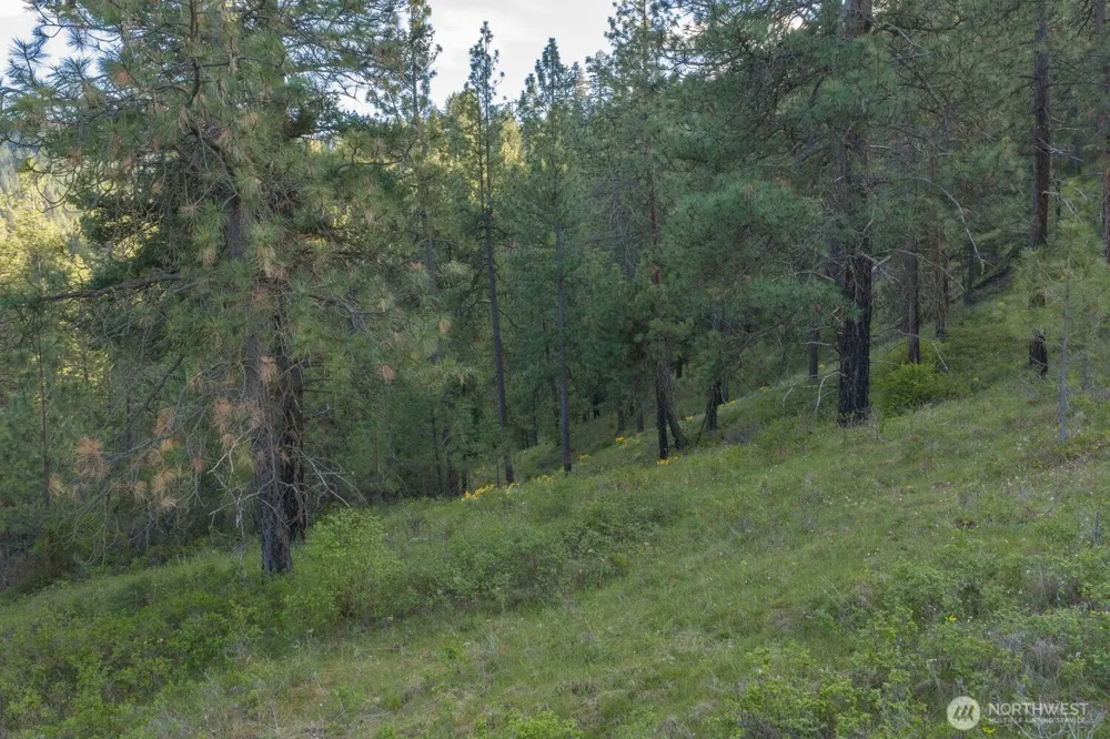 10610 E Hallett Spokane, WA 99206
