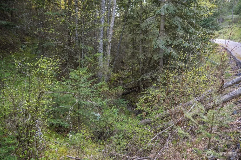 10610 E Hallett Spokane, WA 99206