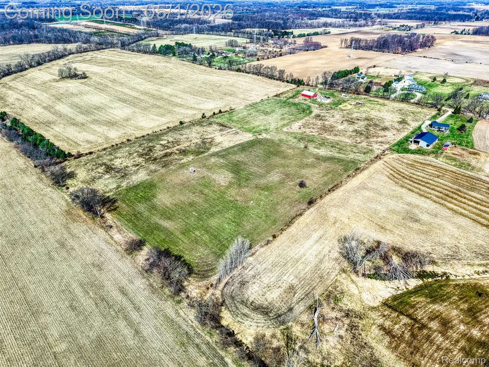 12459 Earl Road Henrietta Township, MI 49285