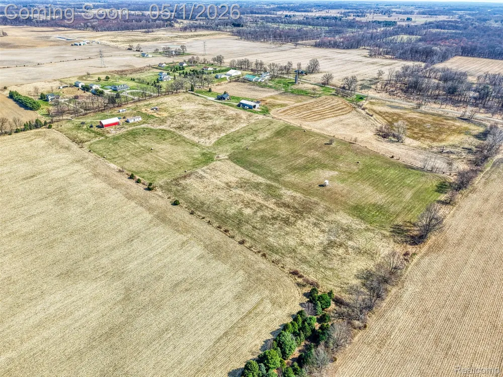 12459 Earl Road Henrietta Township, MI 49285