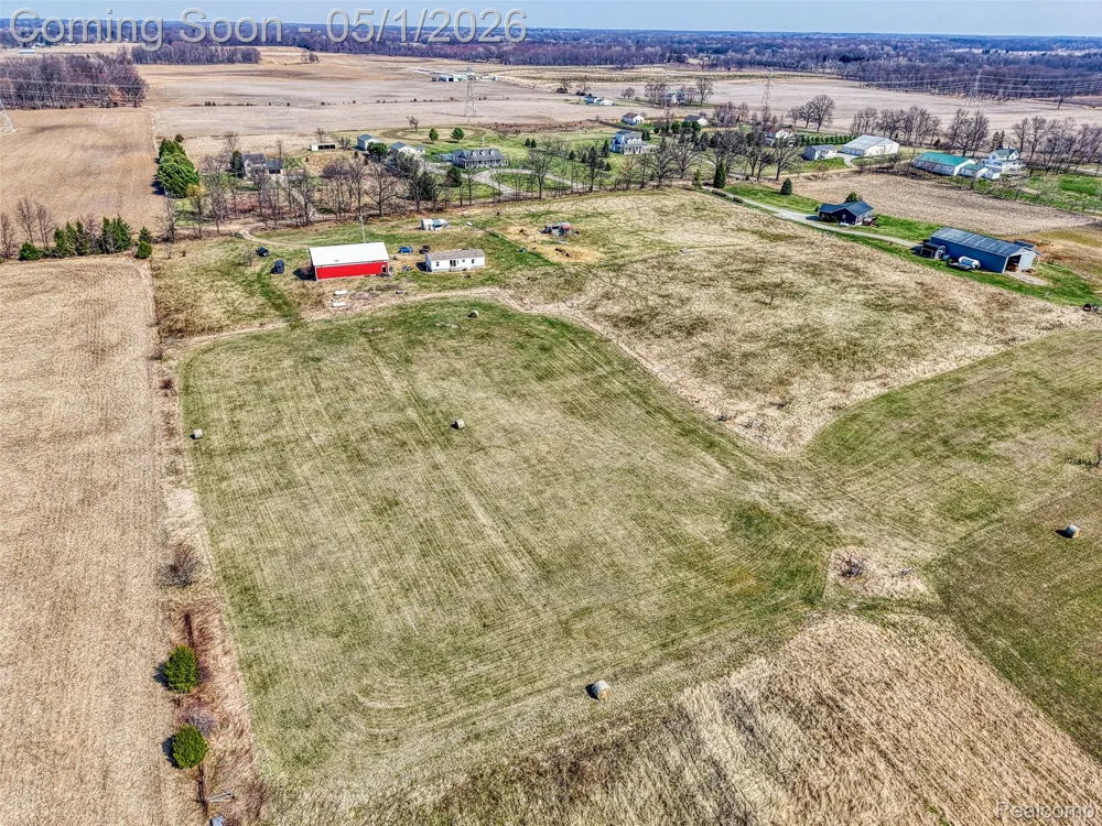 12459 Earl Road Henrietta Township, MI 49285