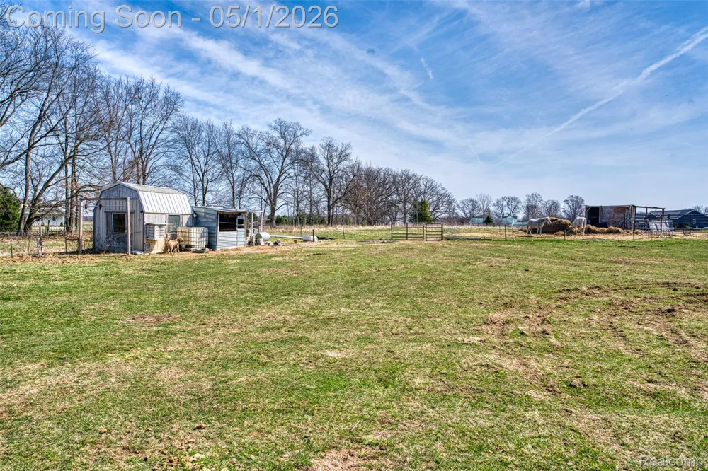 12459 Earl Road Henrietta Township, MI 49285
