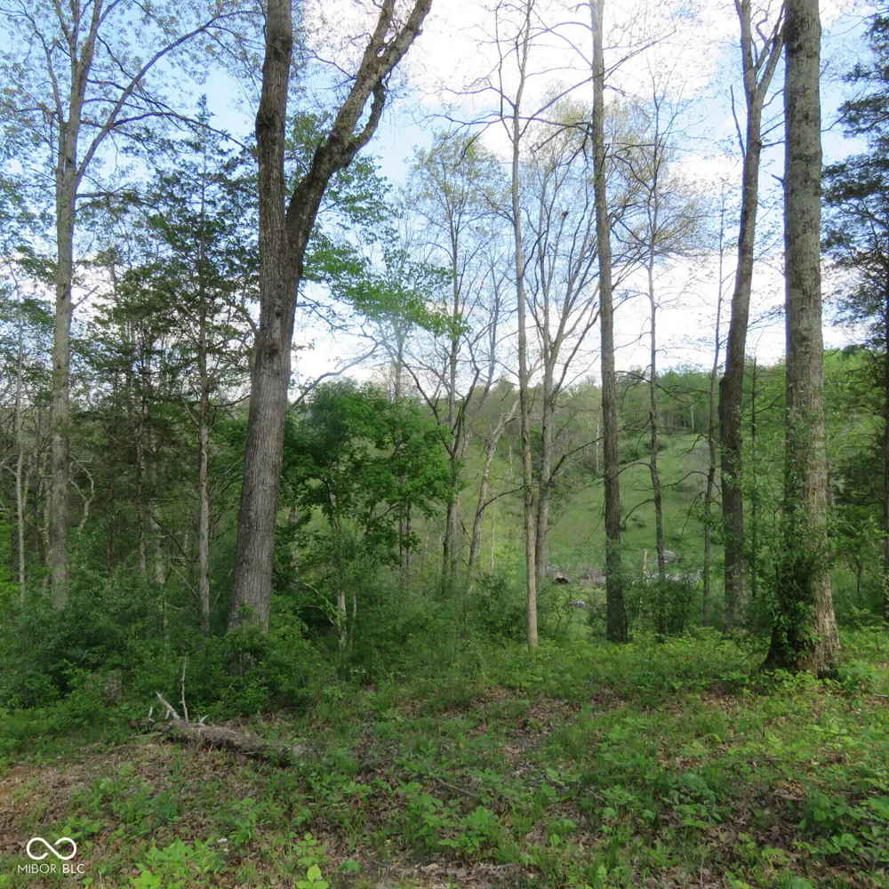 11265 Arnold Miller Road Canaan, IN 47224