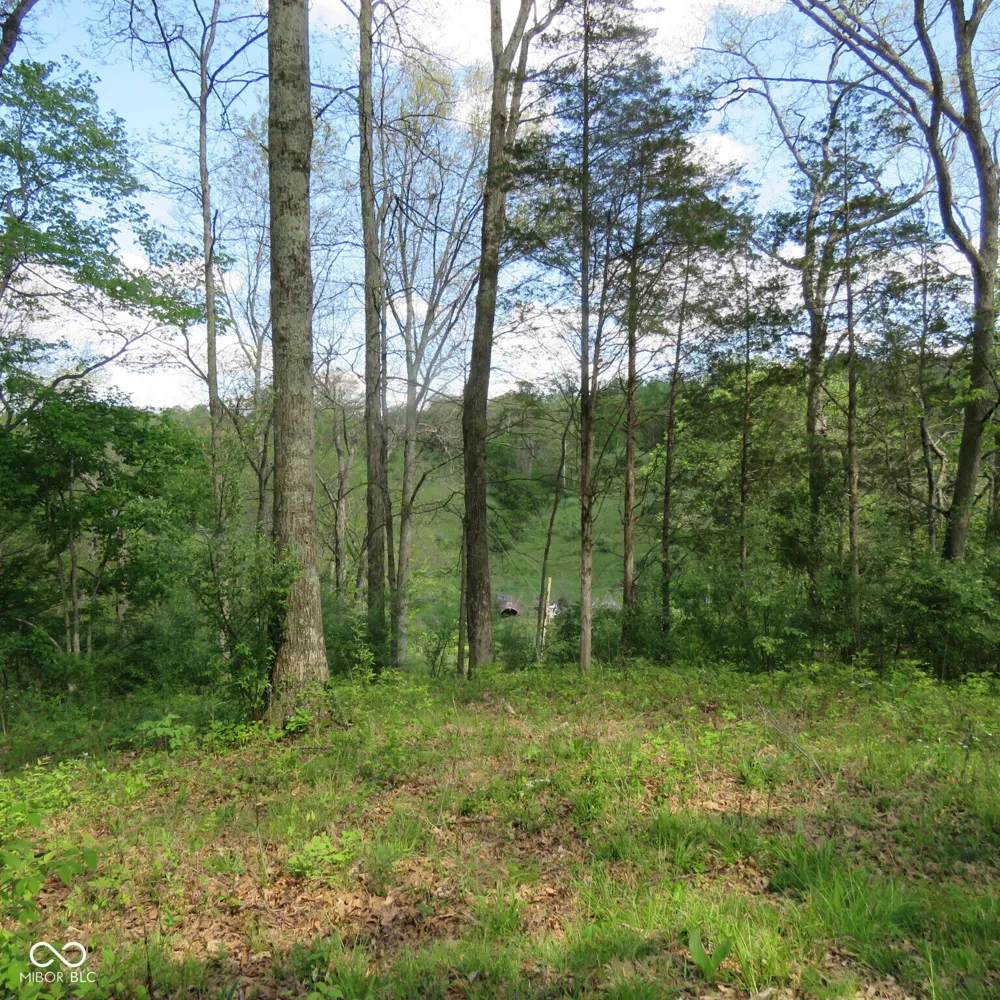 11265 Arnold Miller Road Canaan, IN 47224