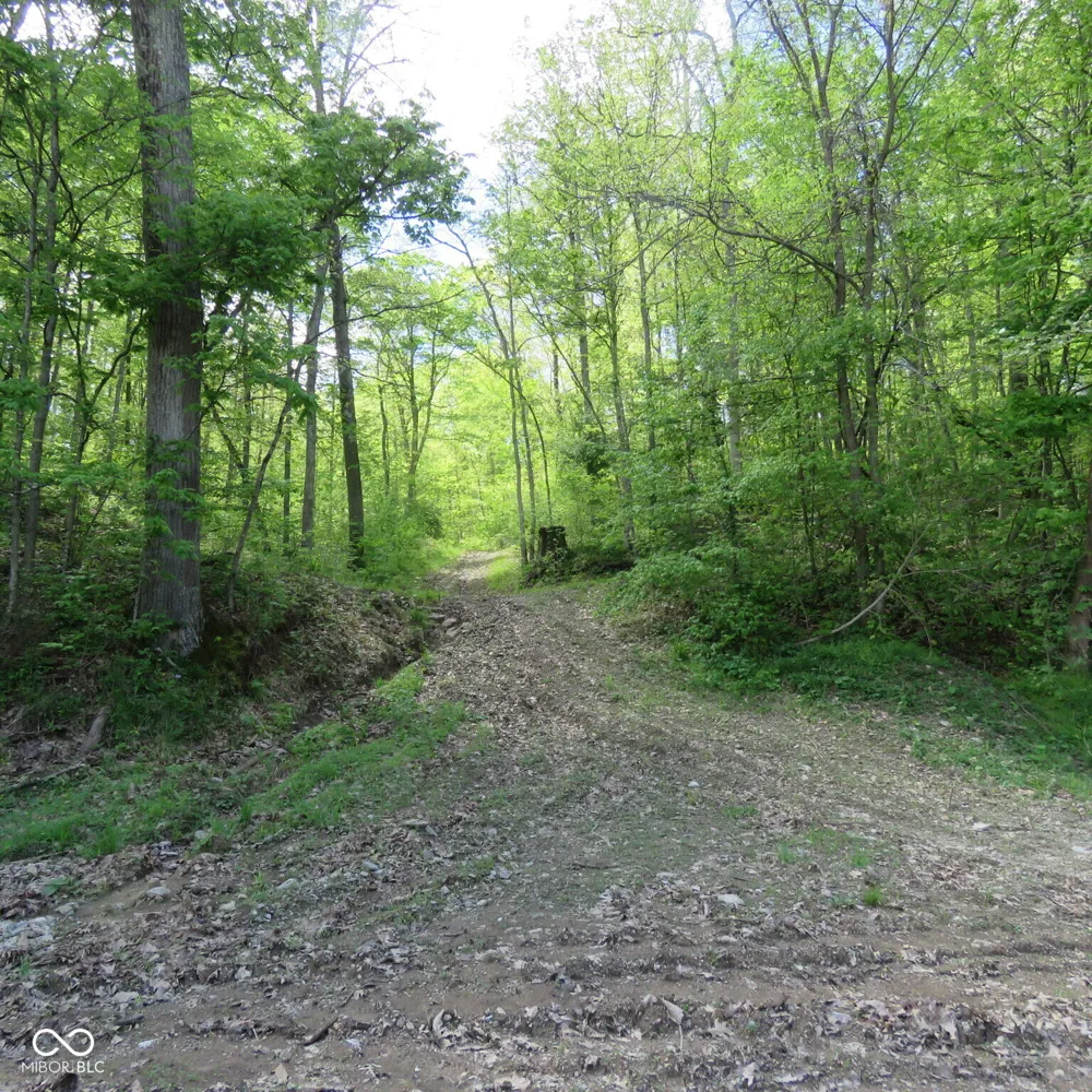 11265 Arnold Miller Road Canaan, IN 47224