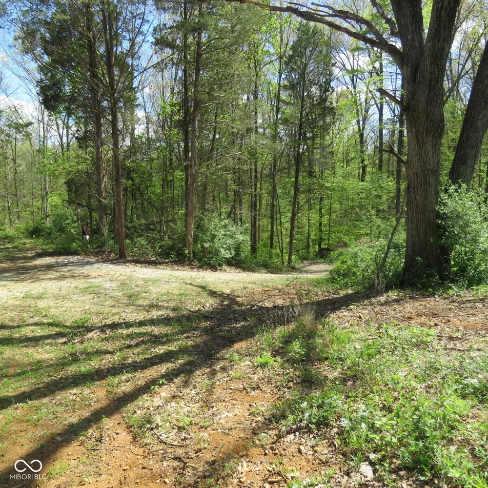 11265 Arnold Miller Road Canaan, IN 47224