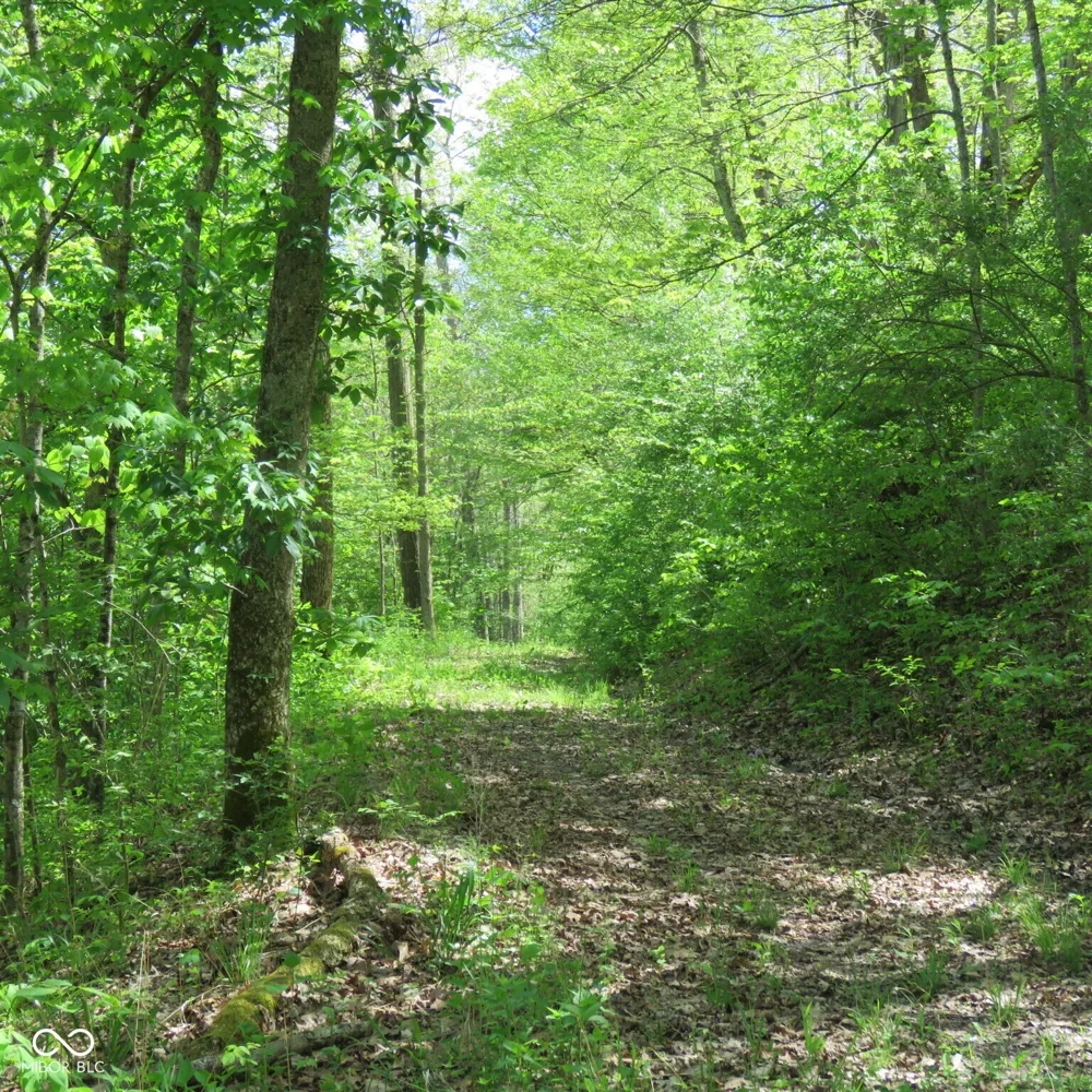 11265 Arnold Miller Road Canaan, IN 47224