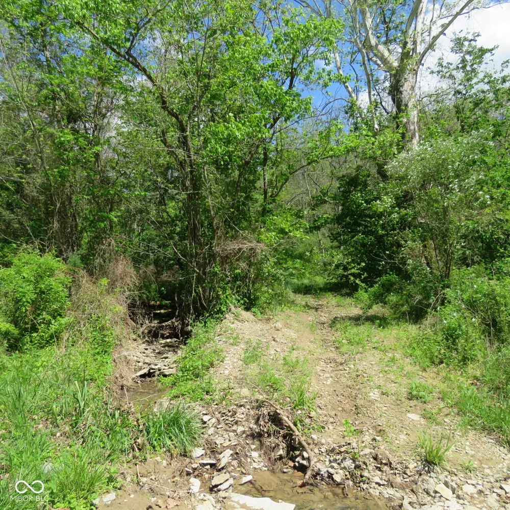 11265 Arnold Miller Road Canaan, IN 47224