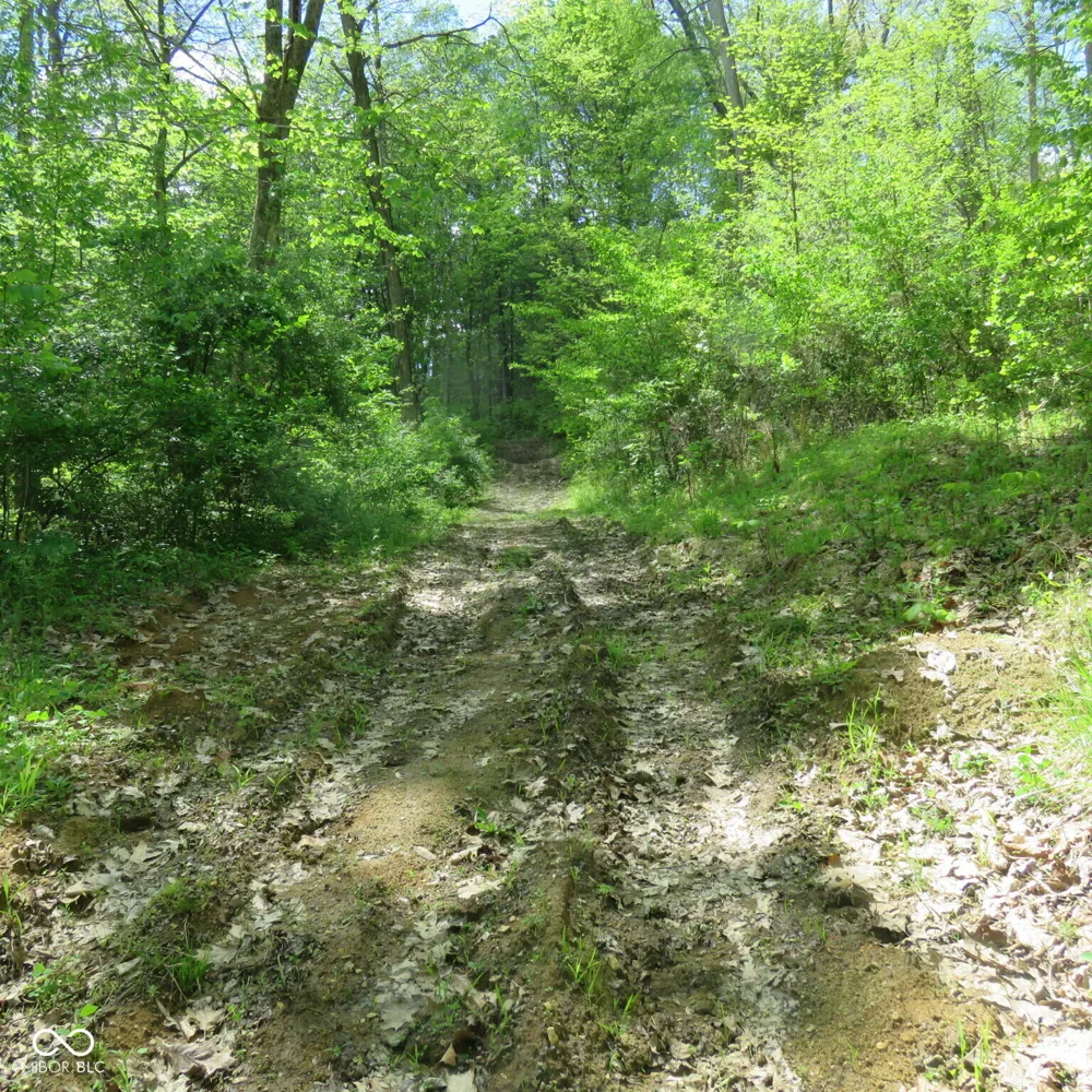 11265 Arnold Miller Road Canaan, IN 47224