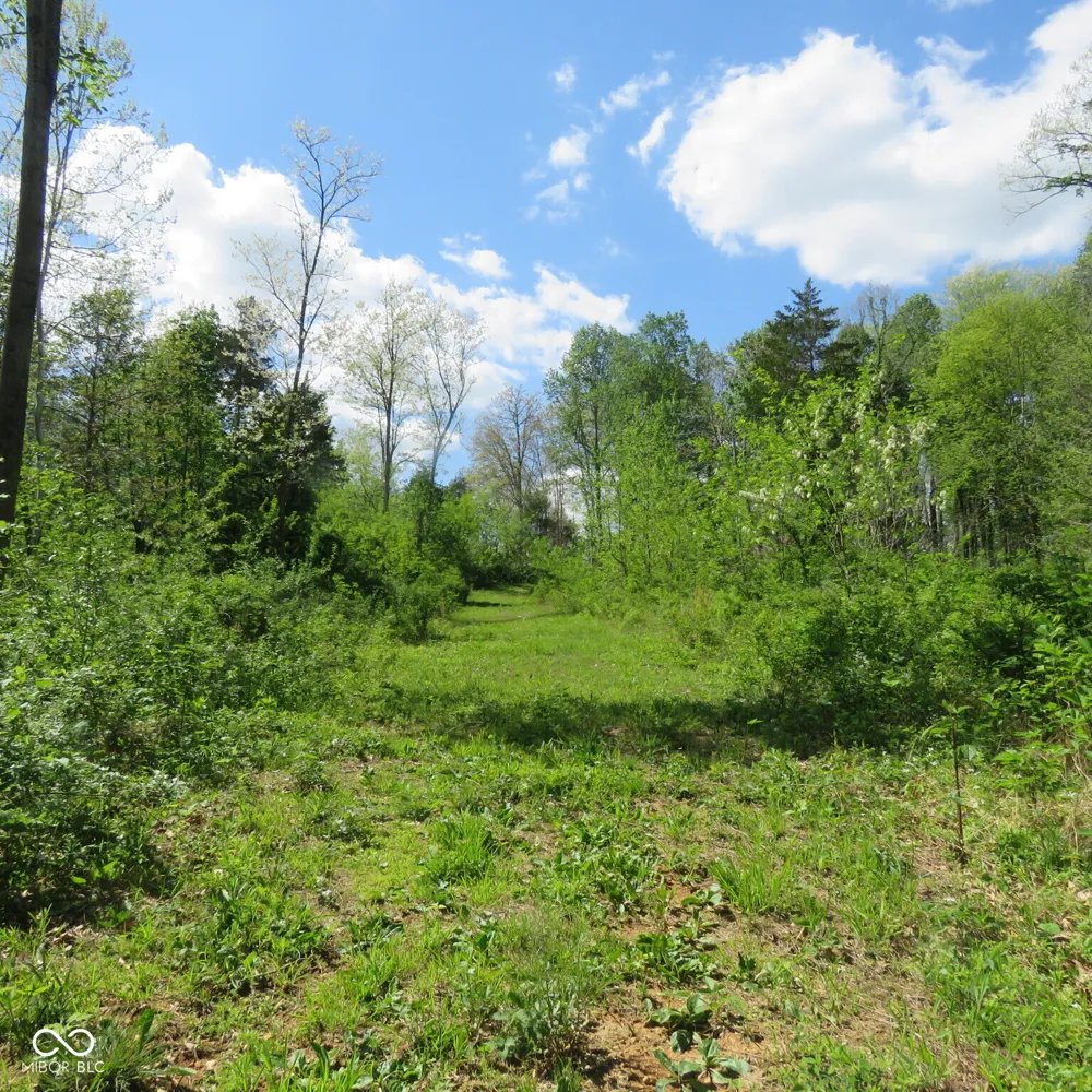 11265 Arnold Miller Road Canaan, IN 47224