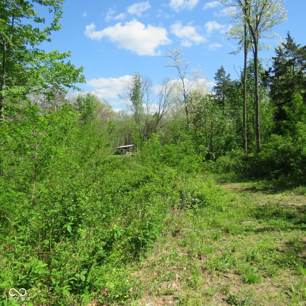 11265 Arnold Miller Road Canaan, IN 47224