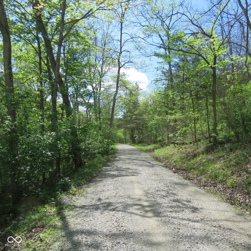 11265 Arnold Miller Road Canaan, IN 47224