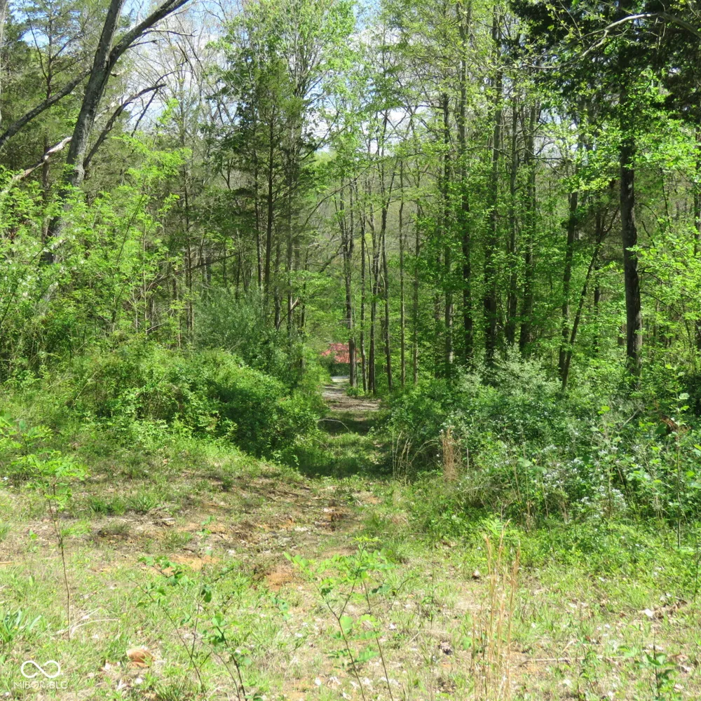 11265 Arnold Miller Road Canaan, IN 47224
