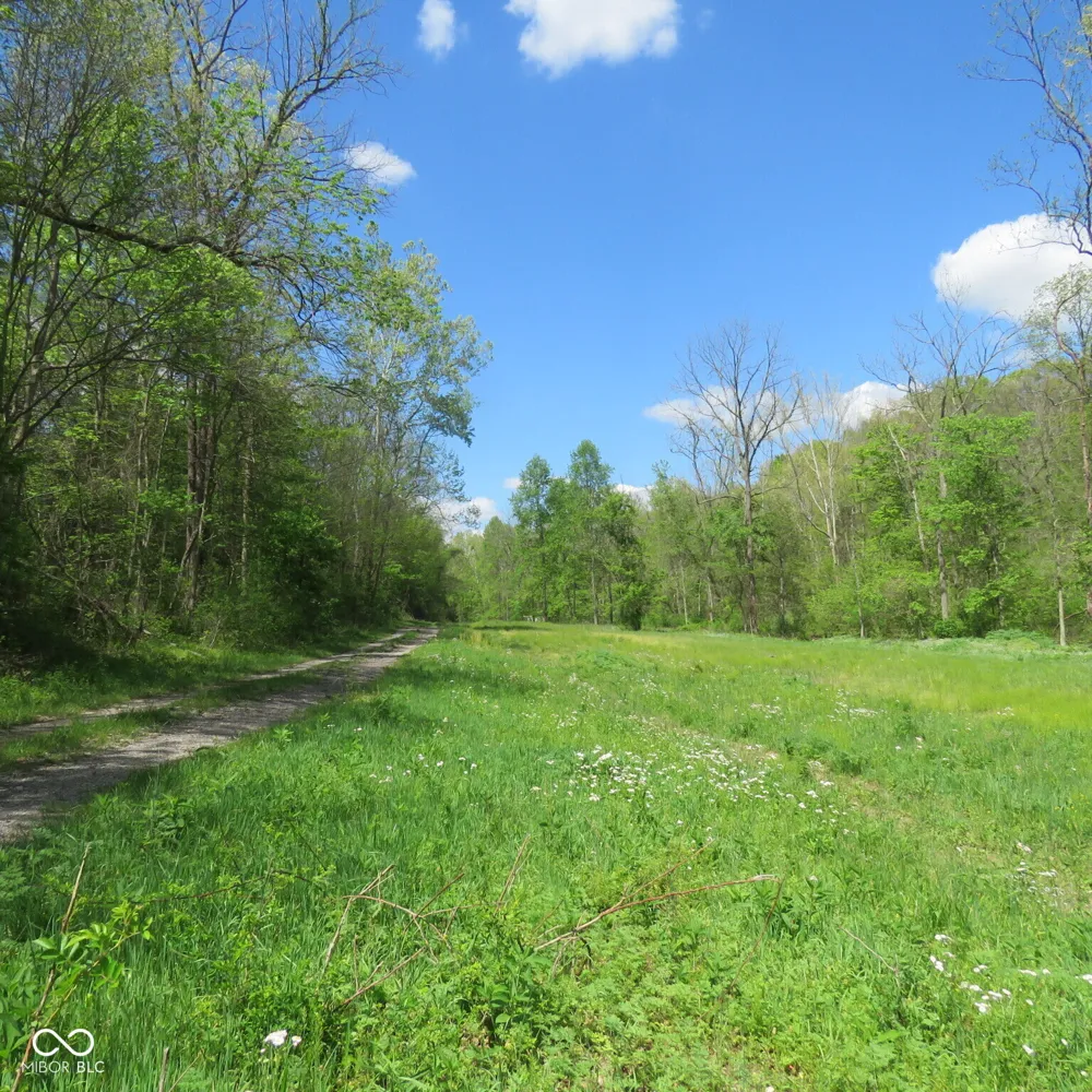 11265 Arnold Miller Road Canaan, IN 47224