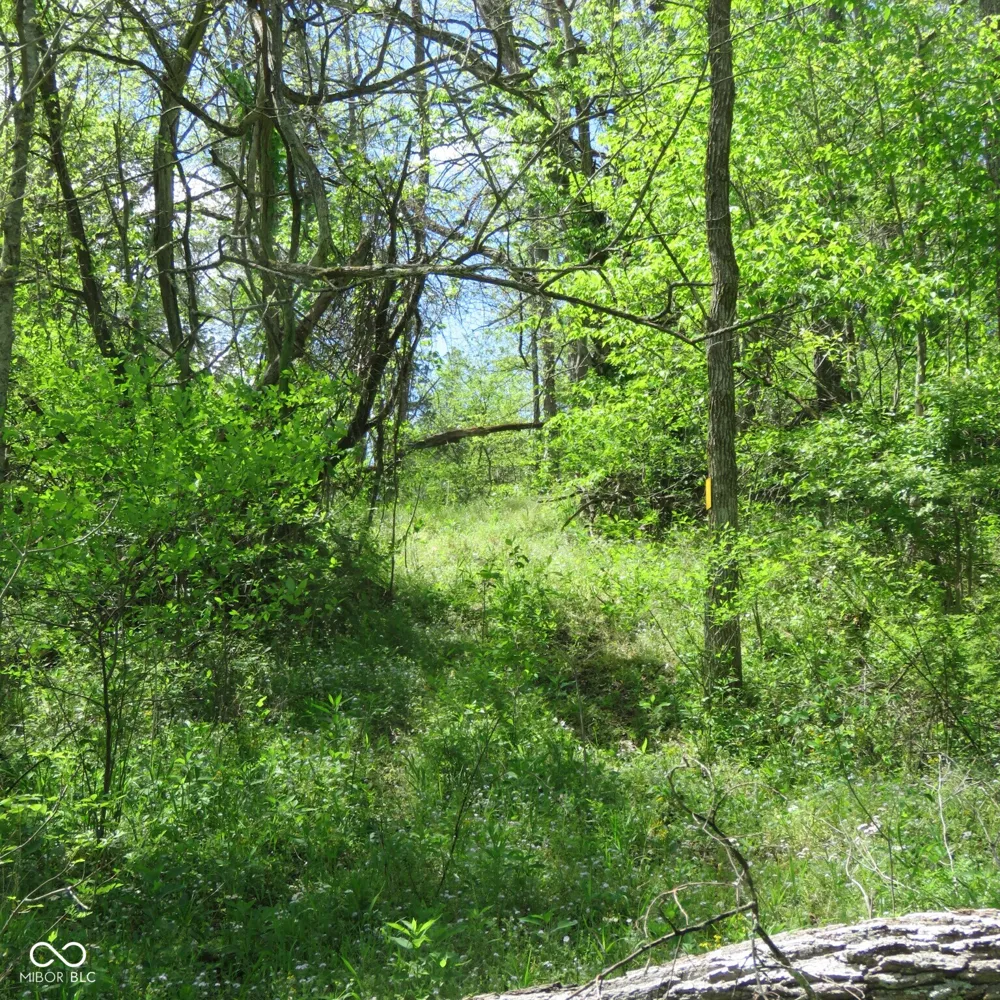 11265 Arnold Miller Road Canaan, IN 47224