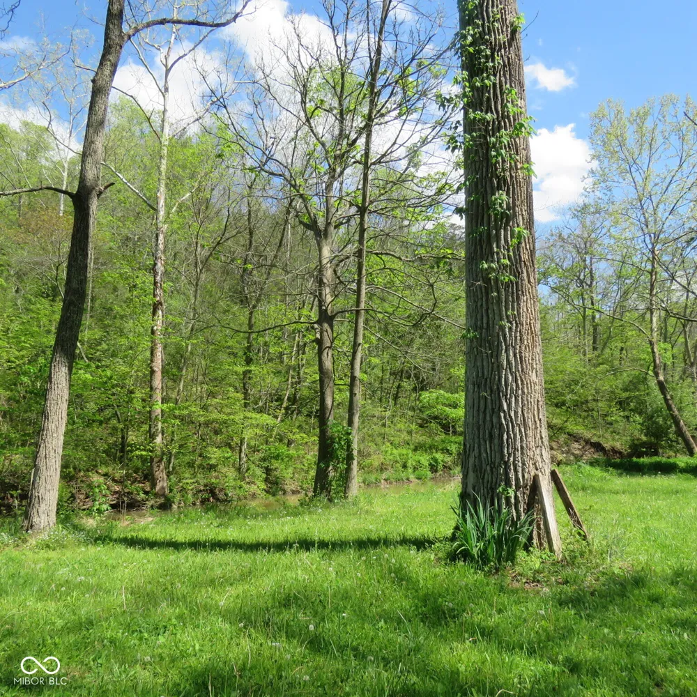 11265 Arnold Miller Road Canaan, IN 47224