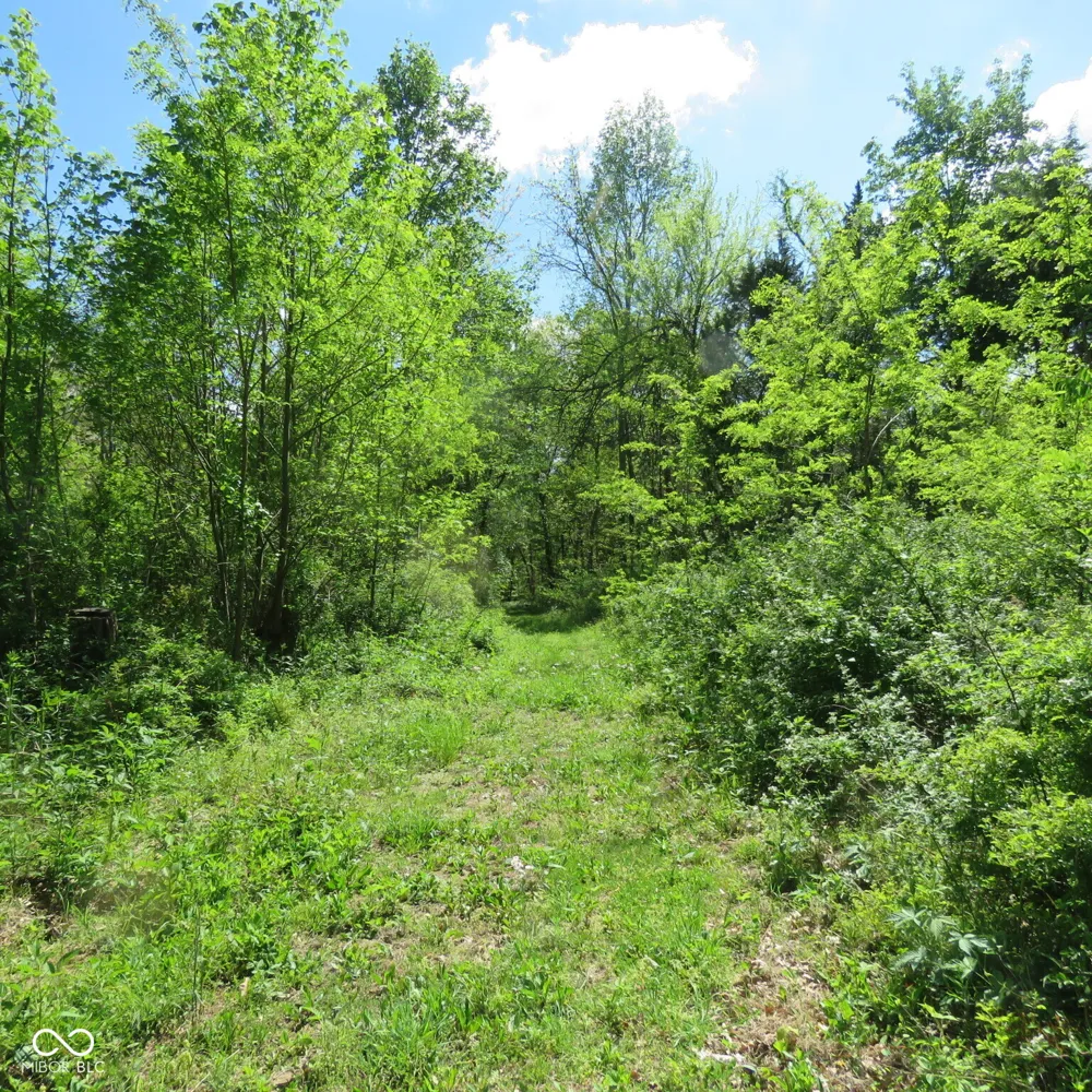 11265 Arnold Miller Road Canaan, IN 47224
