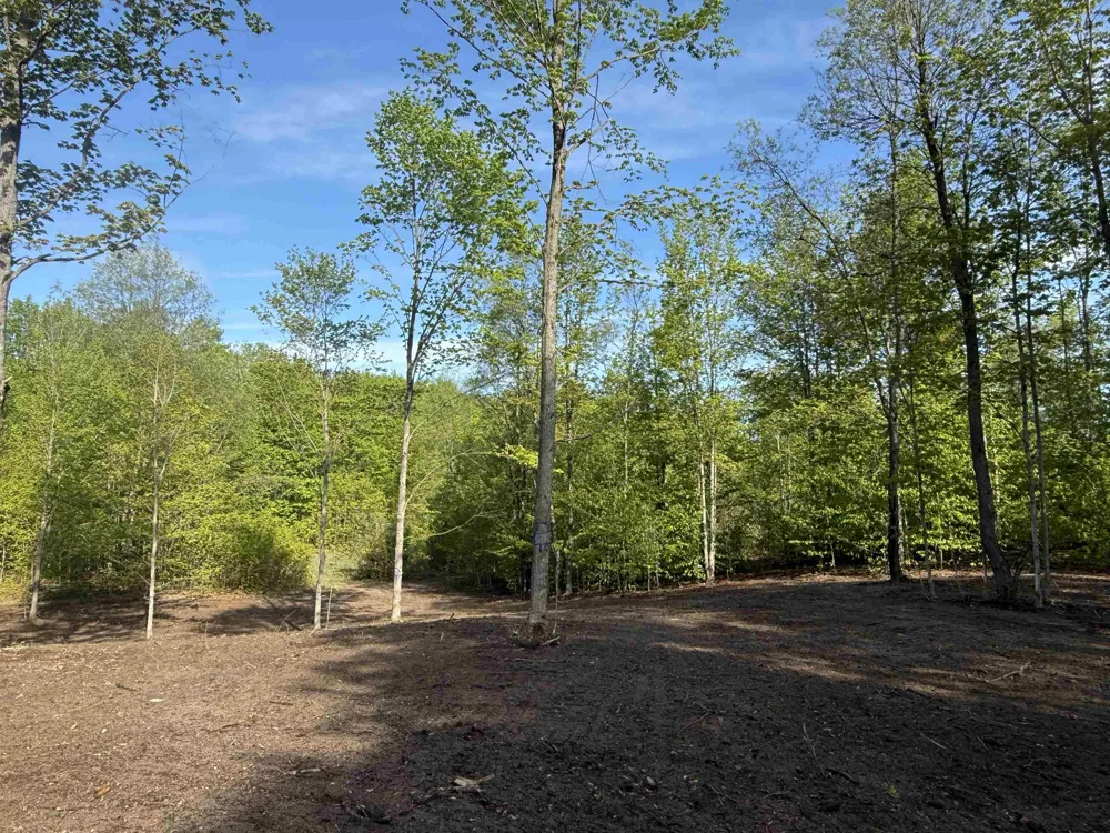 1453 E Solaris Way Kasson Township, MI 49664