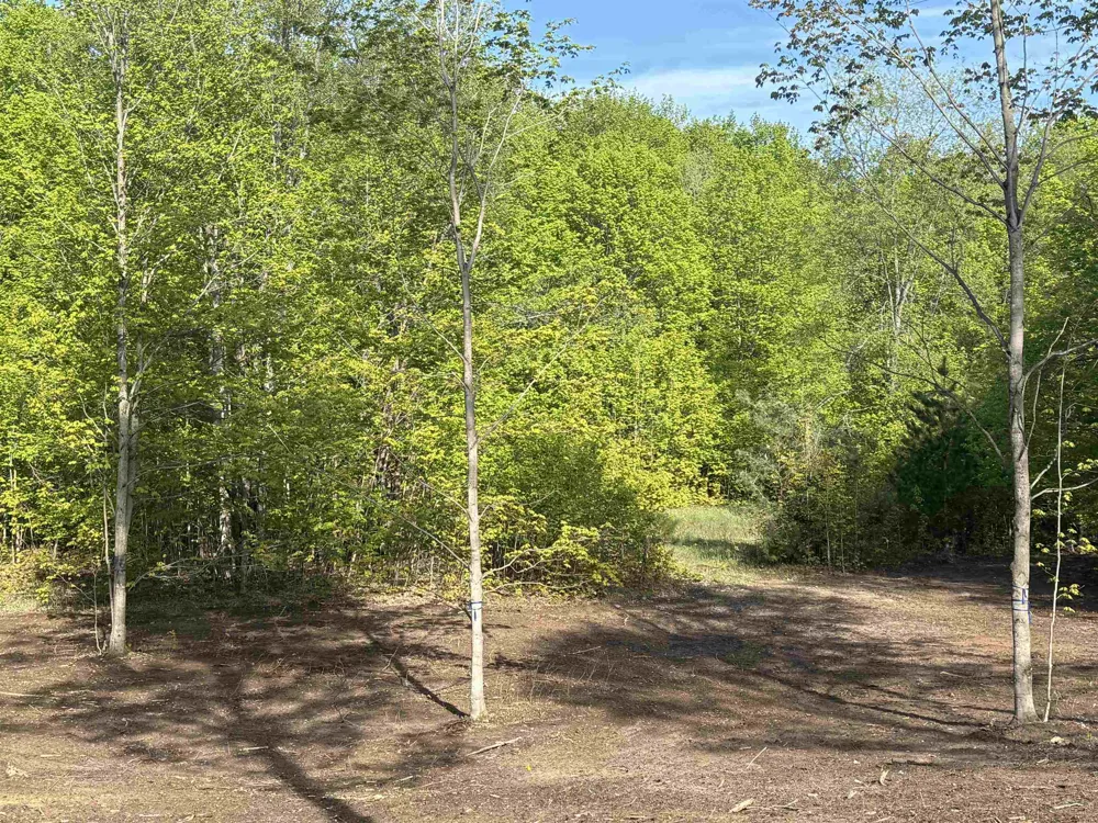 1453 E Solaris Way Kasson Township, MI 49664