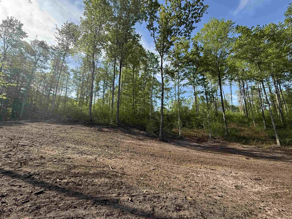 1453 E Solaris Way Kasson Township, MI 49664