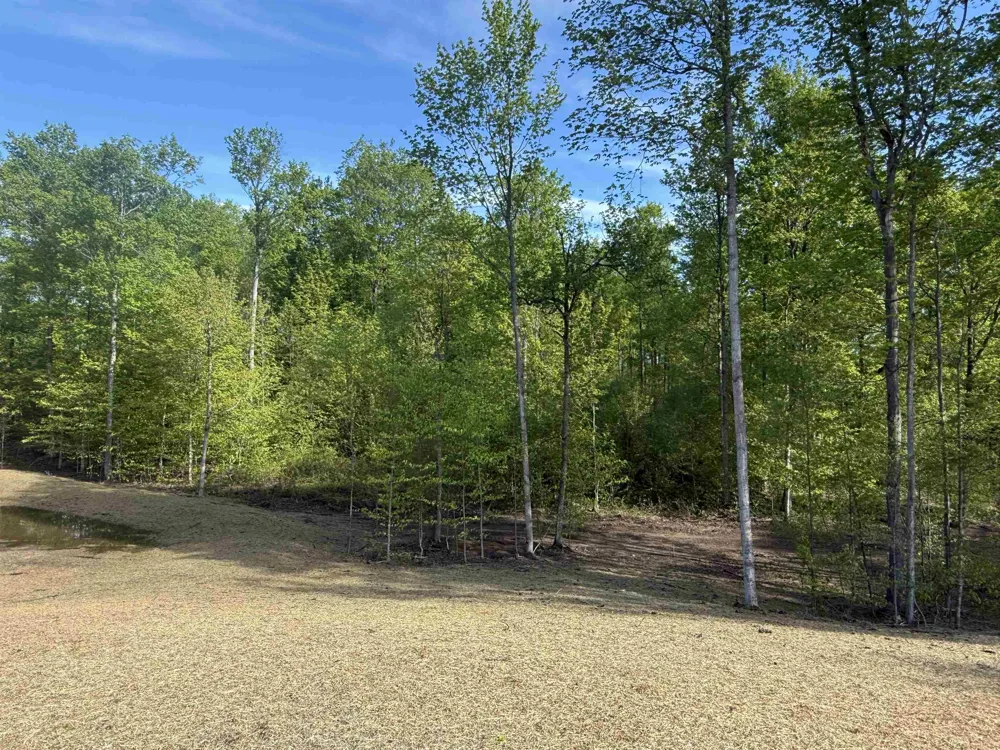 1453 E Solaris Way Kasson Township, MI 49664