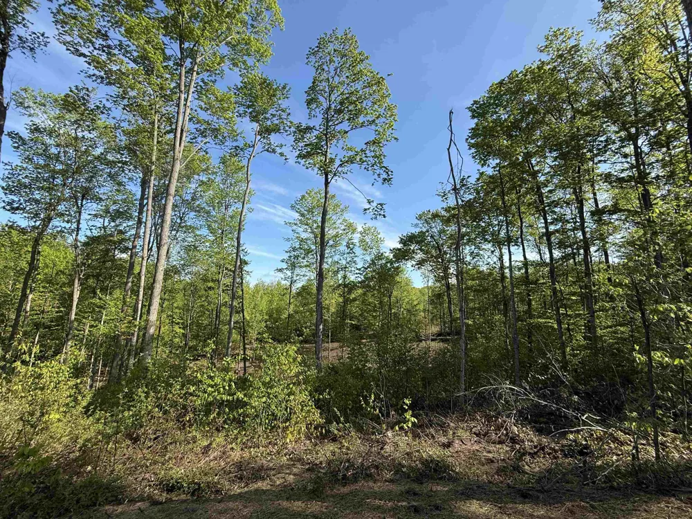 1453 E Solaris Way Kasson Township, MI 49664