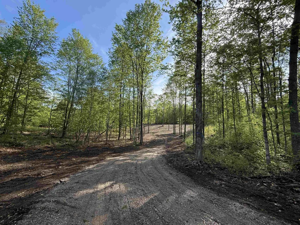 1453 E Solaris Way Kasson Township, MI 49664