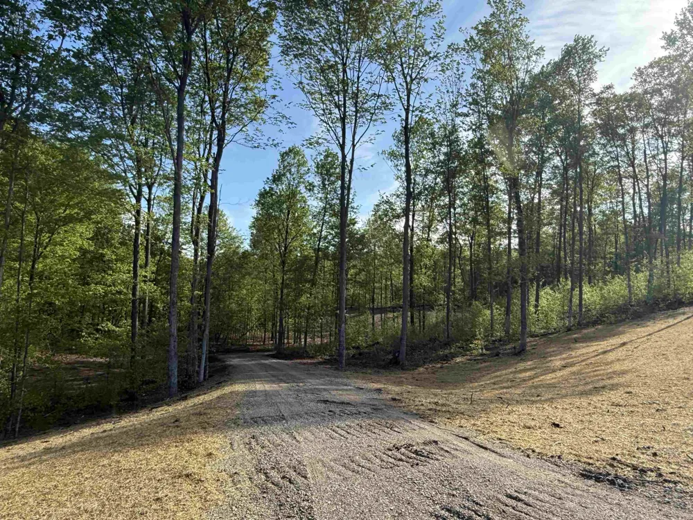 1453 E Solaris Way Kasson Township, MI 49664