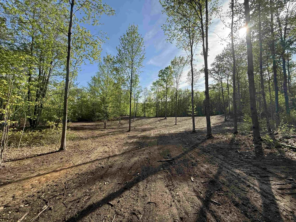 1453 E Solaris Way Kasson Township, MI 49664