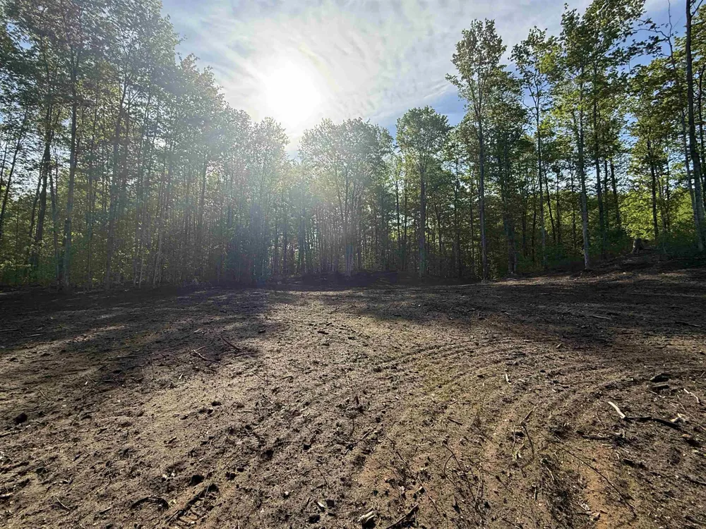 1453 E Solaris Way Kasson Township, MI 49664