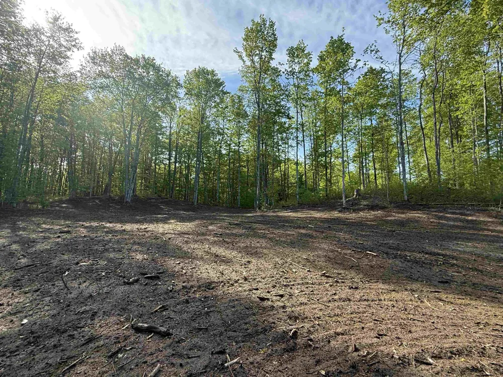 1453 E Solaris Way Kasson Township, MI 49664