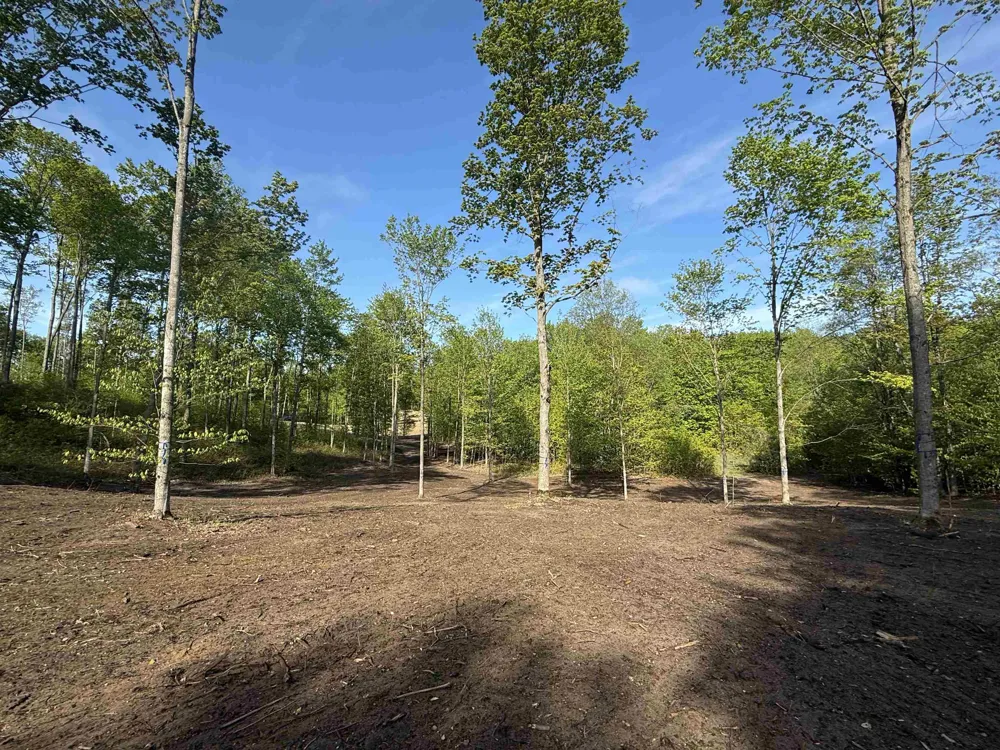 1453 E Solaris Way Kasson Township, MI 49664
