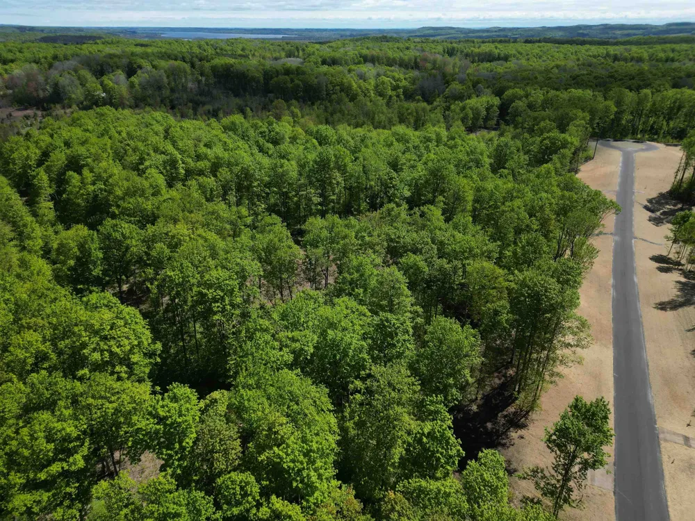 1453 E Solaris Way Kasson Township, MI 49664