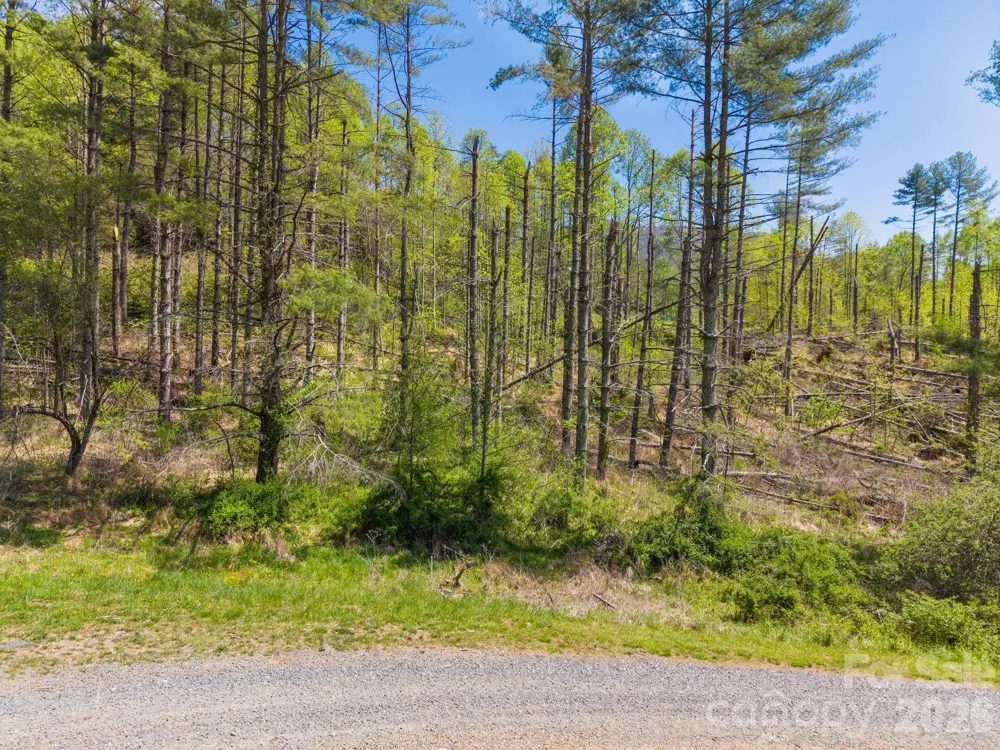 00000 White Pine Lane #19 Bakersville, NC 28705